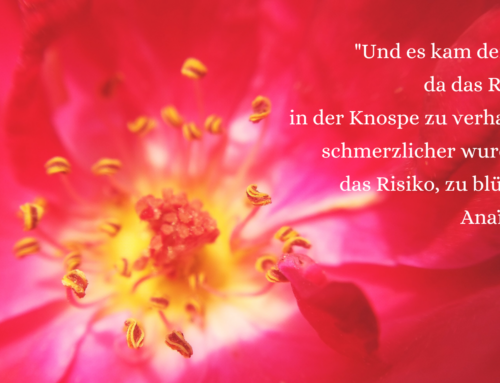 6 Wochen Intensiv Mentoring